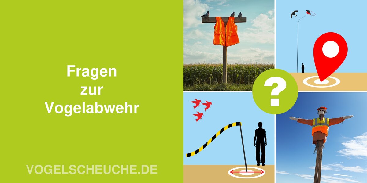 Fragen