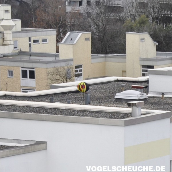 Vogelscheuchen TURBINE hält erfolgreich Raben vom Dach.