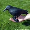 Vogelscheuchen Tierattrappe RABE stehend