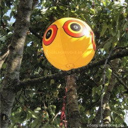 Ballon Installiert und keine Taube mehr im Kirschbaum !