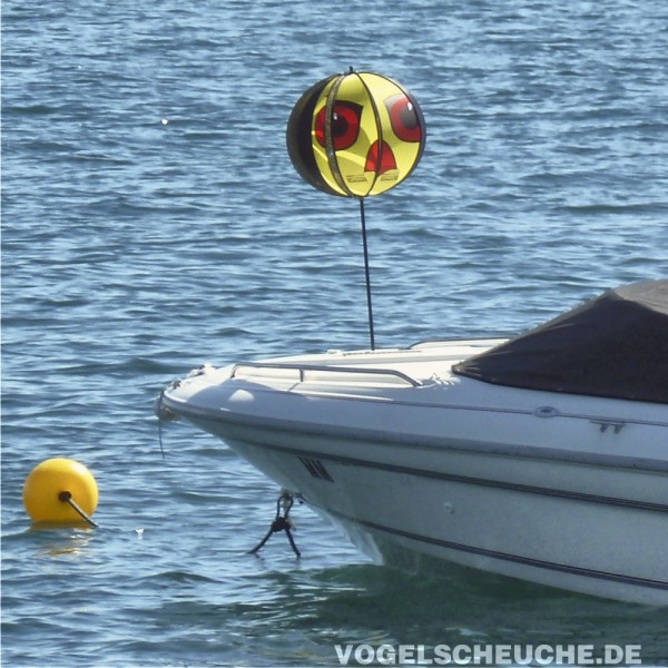 Erfolgreiche Möwenabwehr auf Sportboot Persenning.