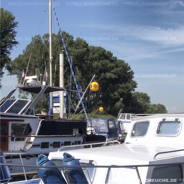 Möwenabwehr mit Ballon in Sport und Segelboot Marina