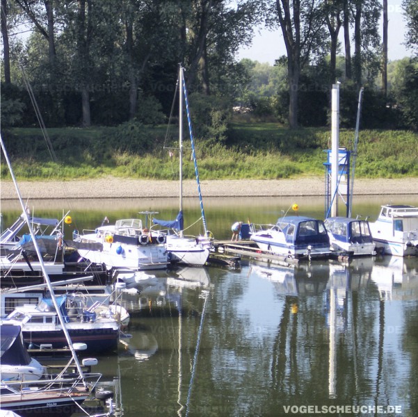 Möwenabwehr mit Ballon in Sport und Segelboot Marina