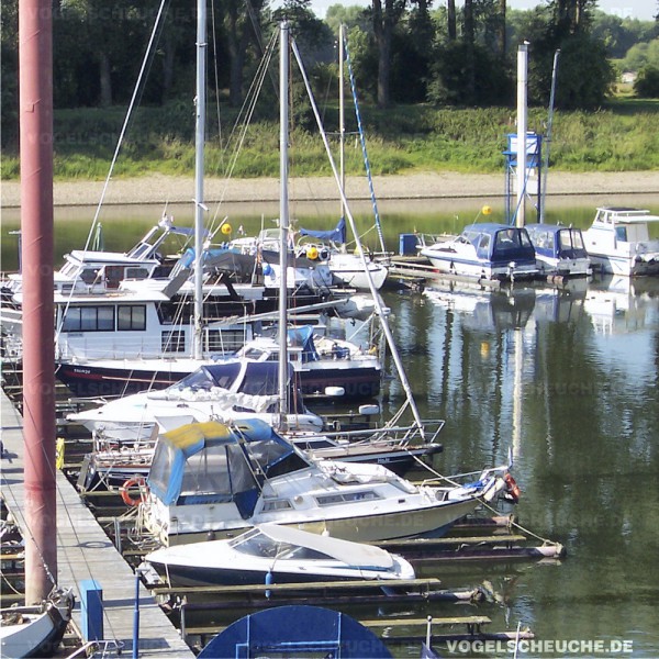 Möwenabwehr mit Ballon in Sport und Segelboot Marina