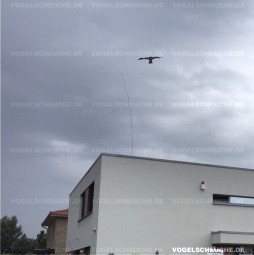 Vogelscheuchen Drachen System-Einsatz auf dem Flachdach