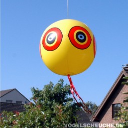 Ballon zur Vogelabwehr: Tipps zur Installation