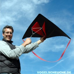 Vogelscheuchen Drachen DELTA 110 cm