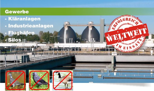 gewerbe vogelabwehr