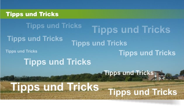 Vogelabwehr Tipps und Anleitungen