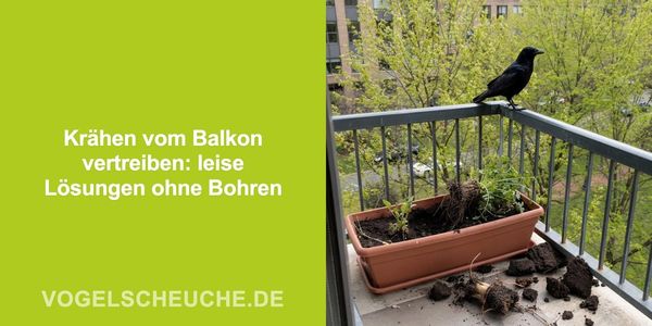 Krähen vom Balkon vertreiben