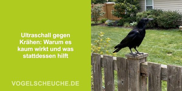Ultraschall gegen Krähen