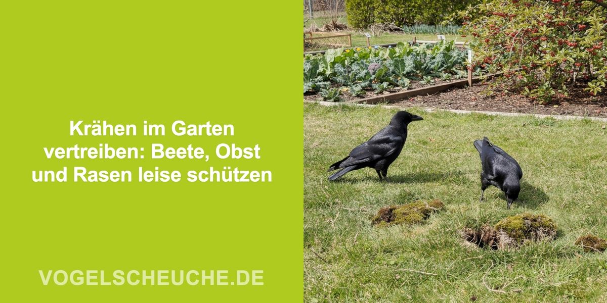 Krähen im Garten vertreiben