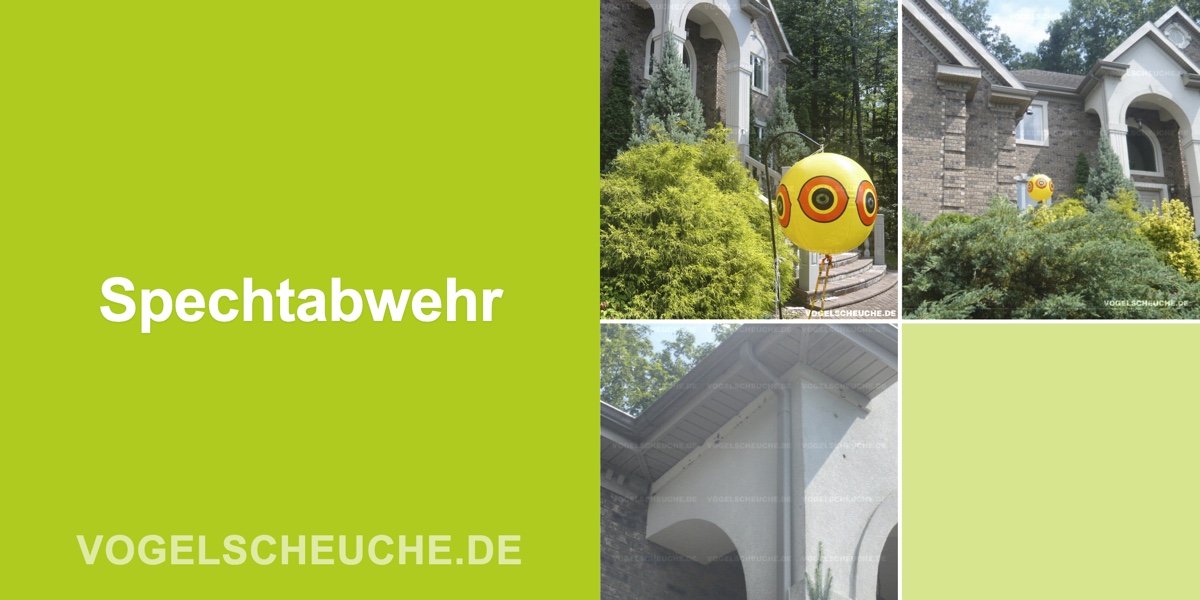Spechtabwehr