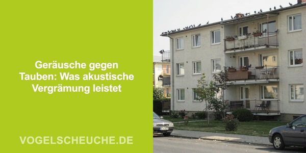 Geräusche gegen Tauben