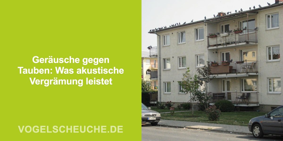 Geräusche gegen Tauben: Was akustische Vergrämung leistet