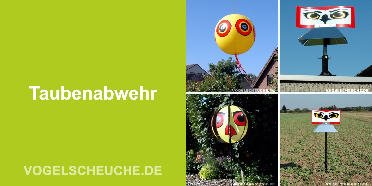 Taubenabwehr