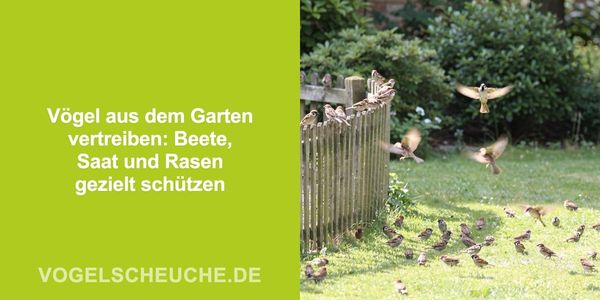 Vögel aus dem Garten vertreiben