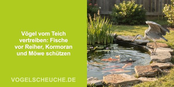 Vögel vom Teich vertreiben