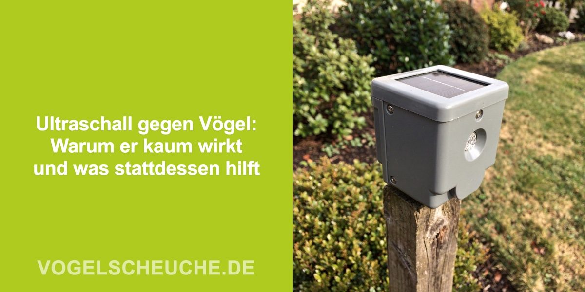 Ultraschall gegen Vögel: Warum er kaum wirkt und was stattdessen hilft
