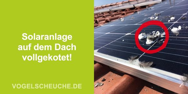 Solaranlage auf dem Dach vollgekotet!