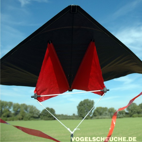 Der Drachen fliegt über einer grünen Wiese, die rote Leine im Wind sichtbar.