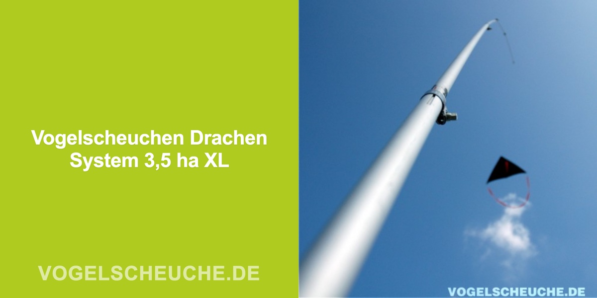 Vogelscheuchen Drachen System 3,5 ha XL — Banner