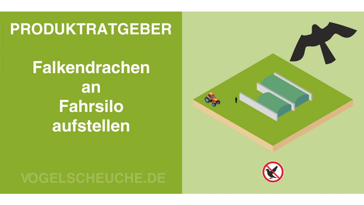 Video: Falkendrachen am Fahrsilo aufstellen