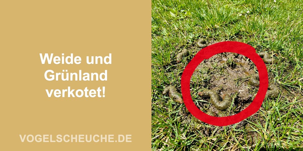 Weide und Grünland verkotet!